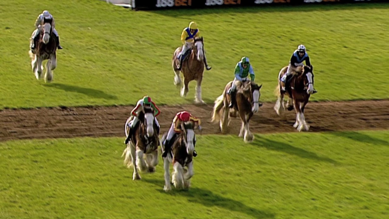 Clydesdale Stakes - Horse Racing